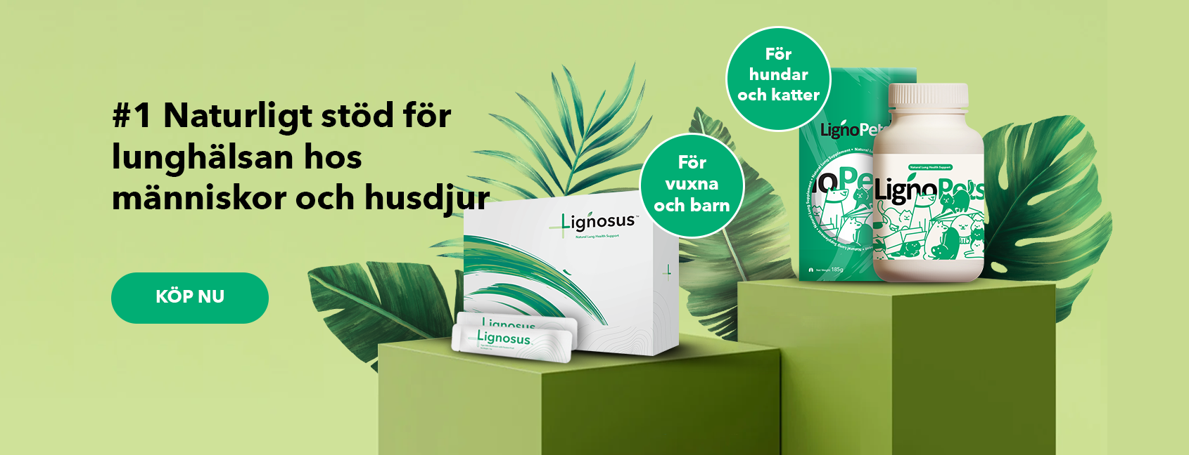 banner-product-presentation