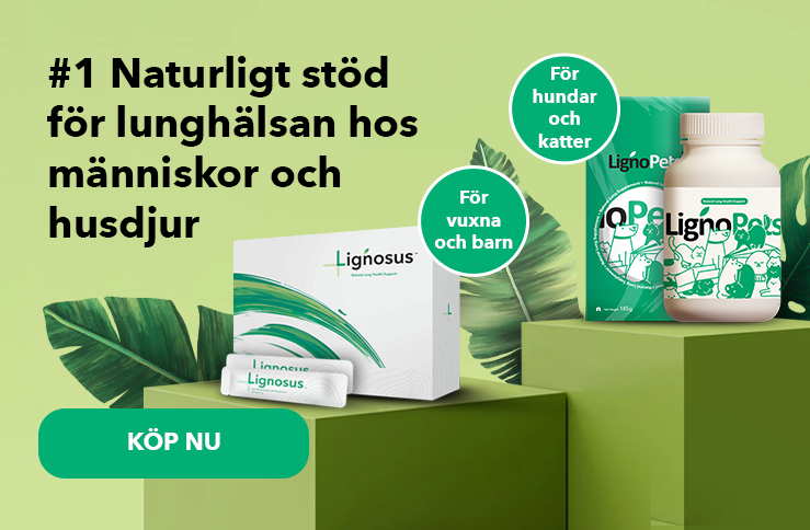 banner-product-presentation