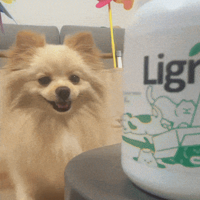 ”My dog loves the taste and Keeps asking for more!”